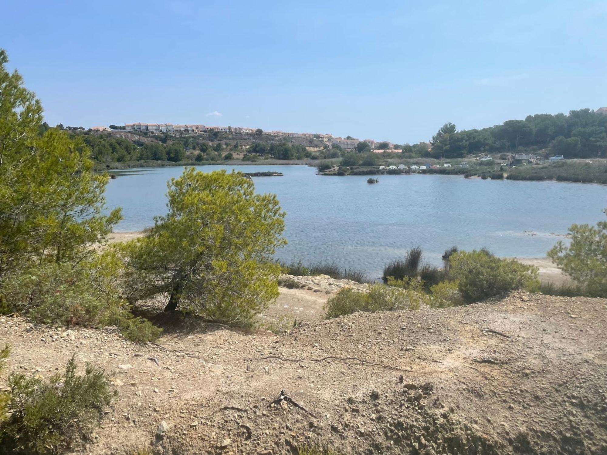 Mobil-Home Confort Tv Clim Narbonne-Plage Dış mekan fotoğraf